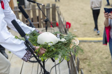 Wiślański Wygón Łowiec - pokaz wyrobu sera